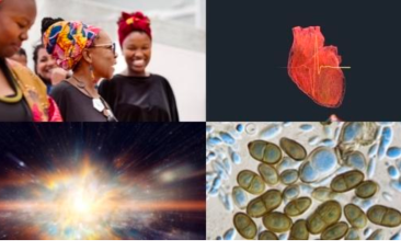 Cover image of ERC Consolidator Grants 2021 - project highlights